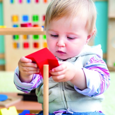 Thrive Whole-School Induction (Early Years)